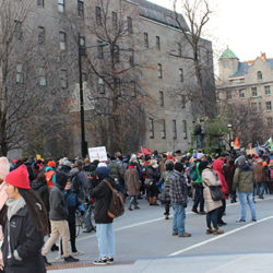 Rue Sherbrooke