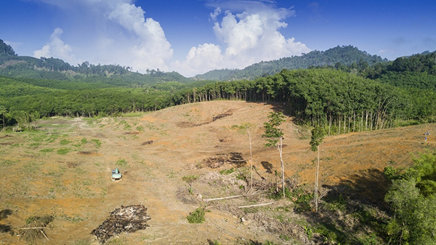 deforestation_mines